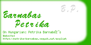 barnabas petrika business card